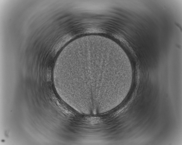 X0000102480833200809051354