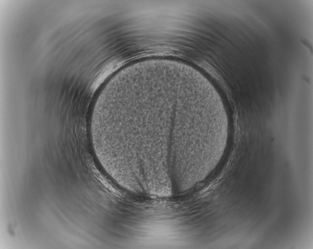 X0000102480834200809051354