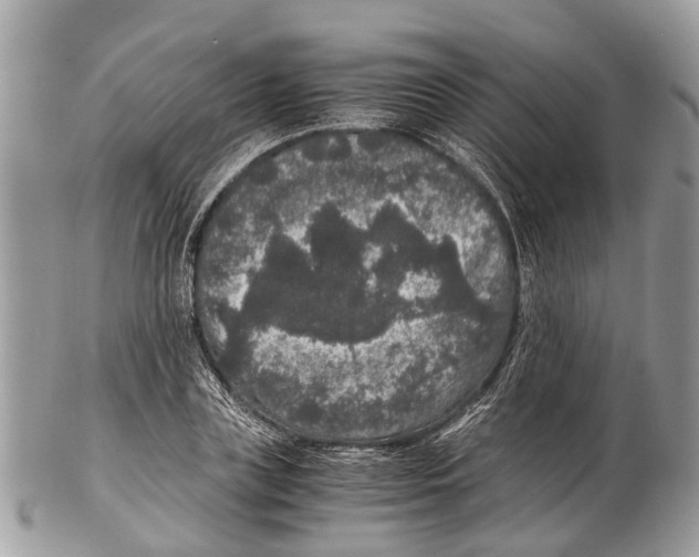 X0000102480835200809051354