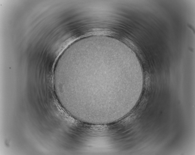 X0000102480836200809051354