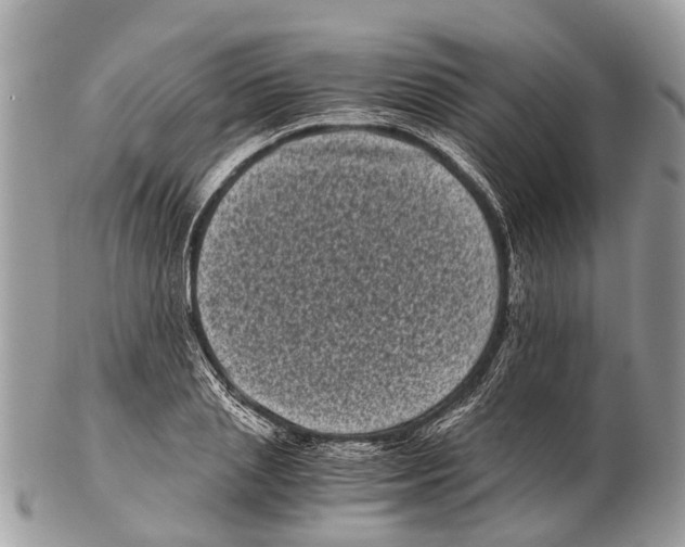 X0000102480837200809051354