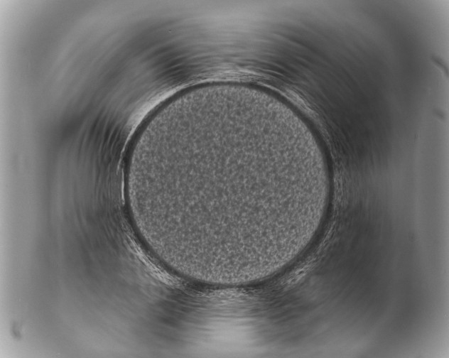 X0000102480838200809051354