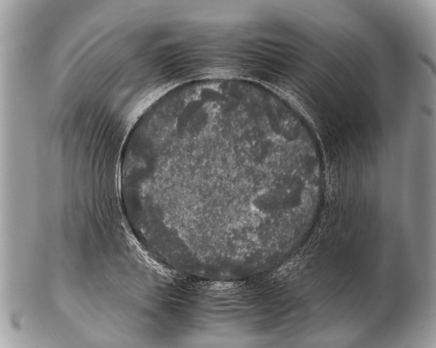 X0000102480839200809051354