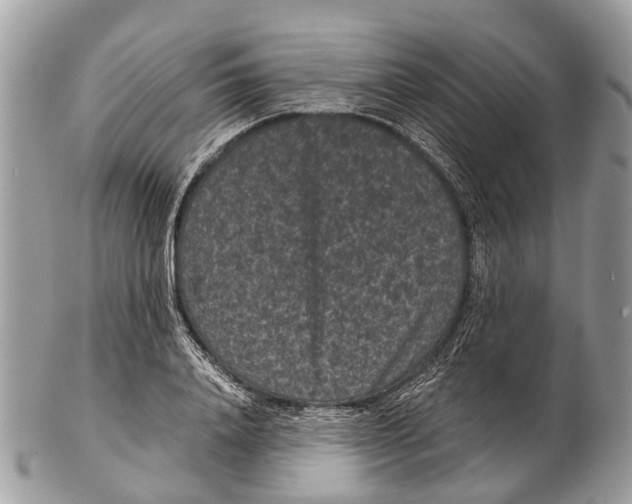 X0000102480840200809051354