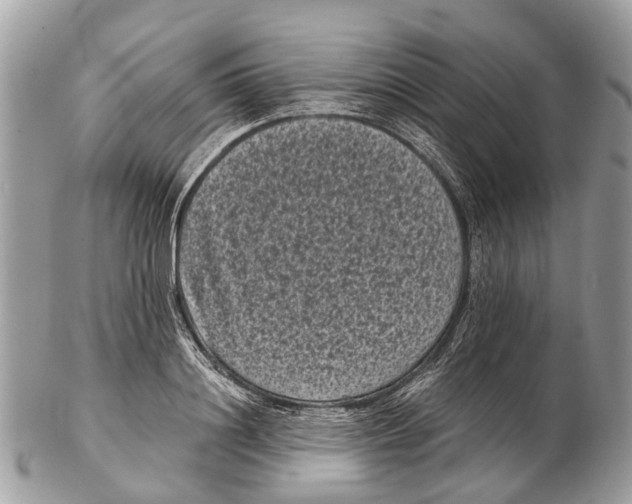 X0000102480844200809051354