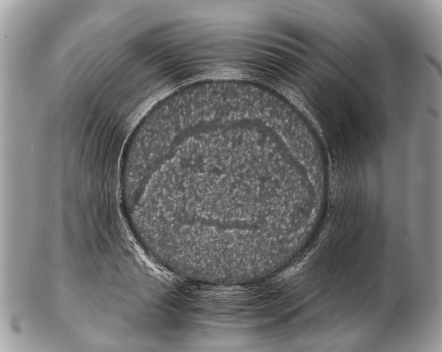 X0000102480845200809051354