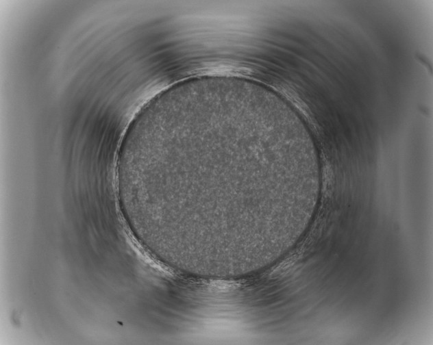 X0000102480848200809051354