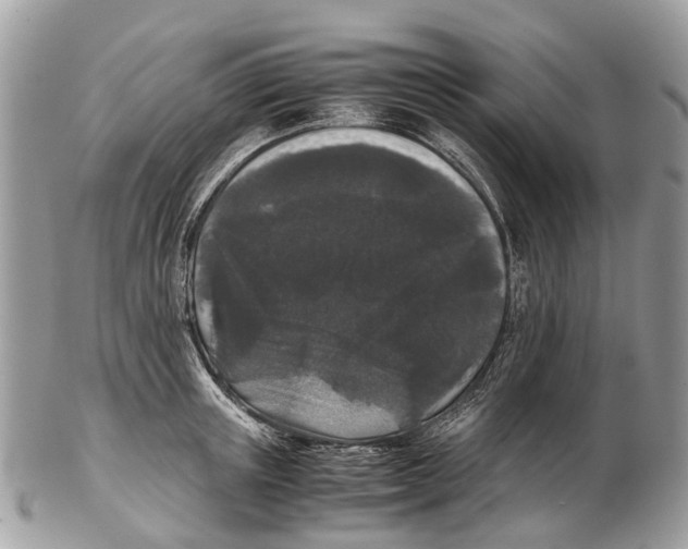 X0000102480851200809051354