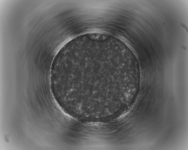 X0000102480853200809051354