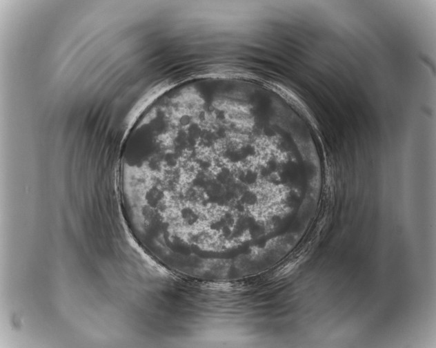 X0000102480855200809051354