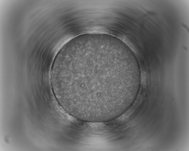 X0000102480856200809051354