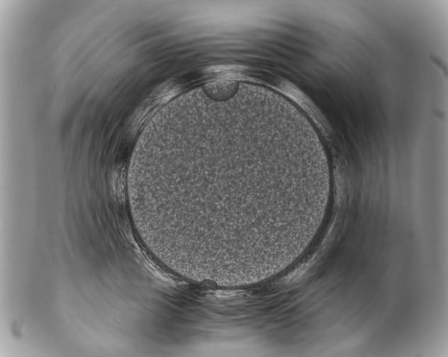 X0000102480857200809051354