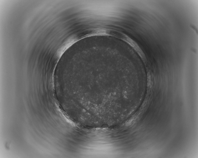 X0000102480858200809051354