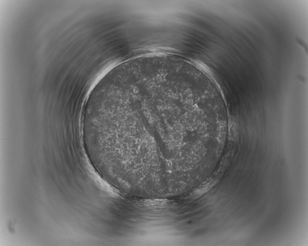 X0000102480859200809051354