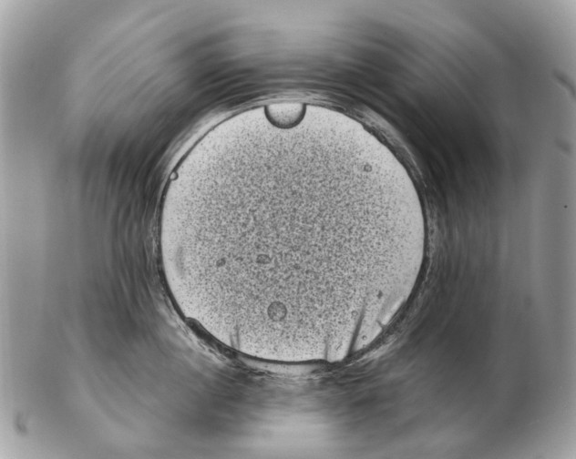 X0000102480860200809051354