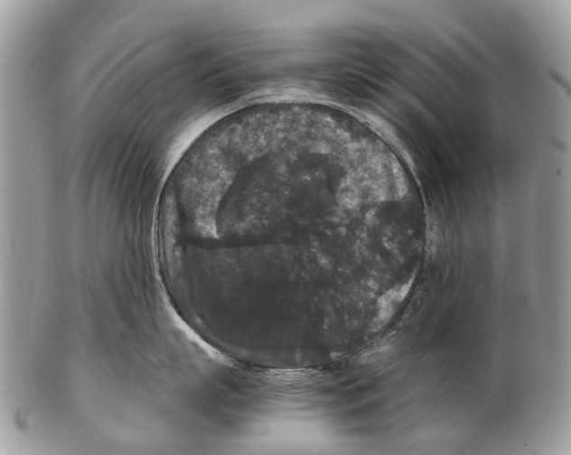 X0000102480863200809051354