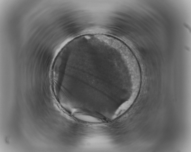 X0000102480864200809051354