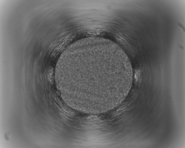 X0000102480867200809051353