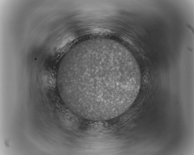 X0000102480869200809051353