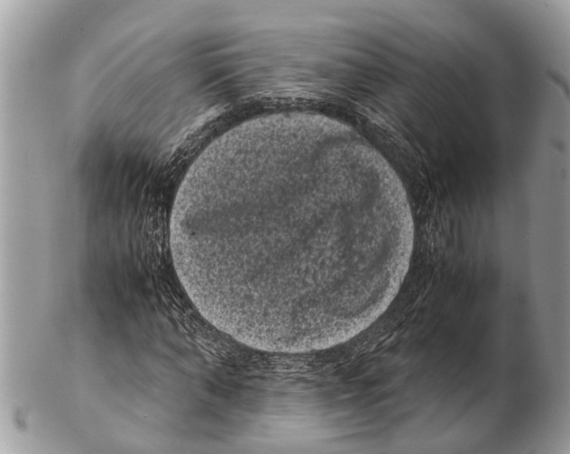 X0000102480870200809051353