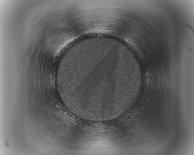 X0000102480872200809051353