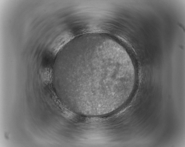 X0000102480873200809051353