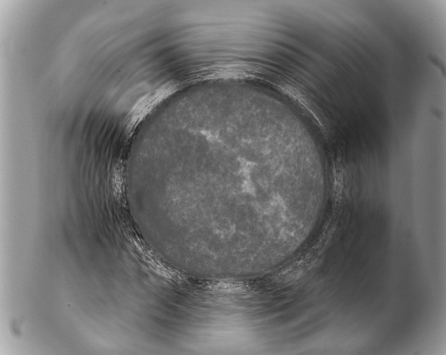 X0000102480874200809051353