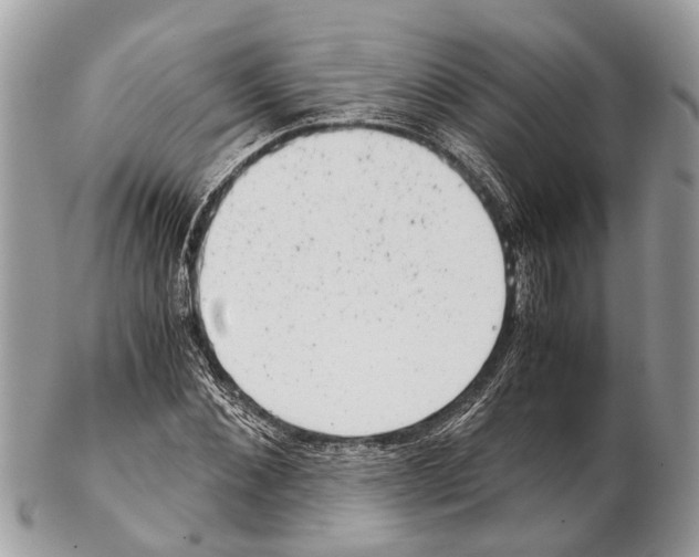 X0000102480876200809051353