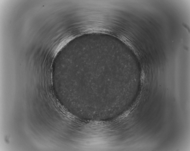 X0000102480877200809051353