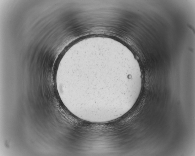 X0000102480880200809051353