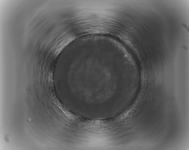 X0000102480881200809051353