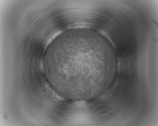 X0000102480882200809051353