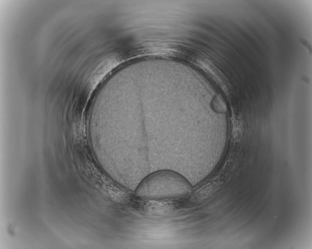 X0000102480883200809051353