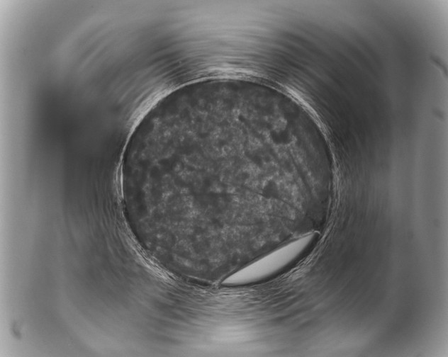 X0000102480891200809051353