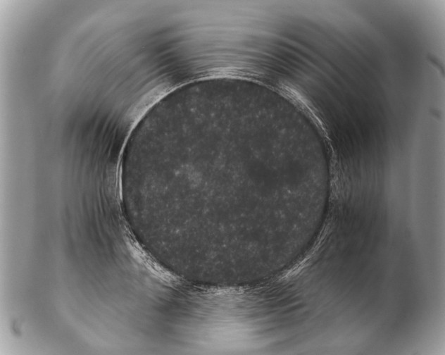 X0000102480892200809051353