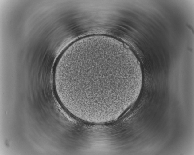 X0000102480894200809051353