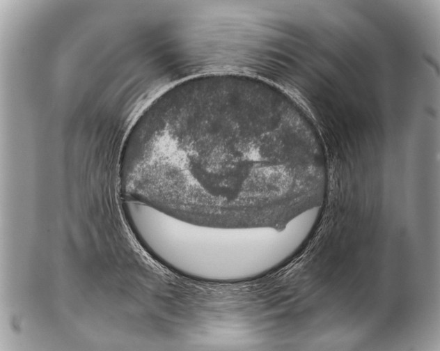 X0000102480895200809051353