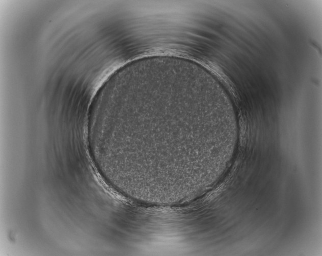 X0000102480896200809051353