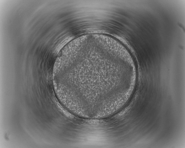 X0000102480897200809051353