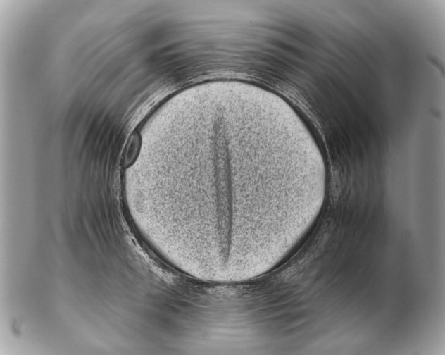 X0000102480898200809051353