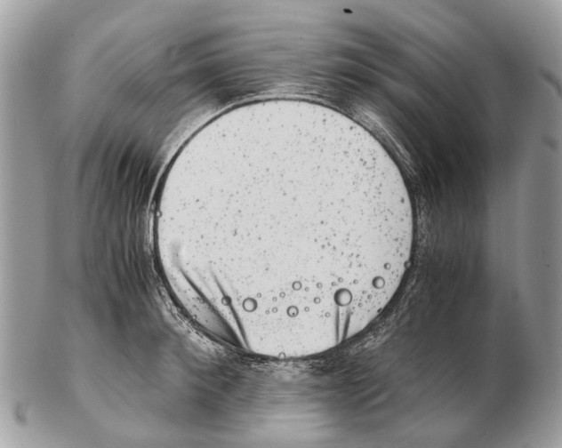 X0000102480900200809051353