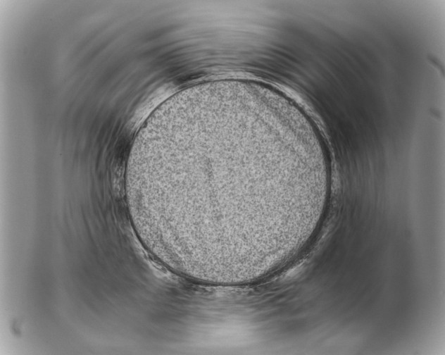 X0000102480905200809051353