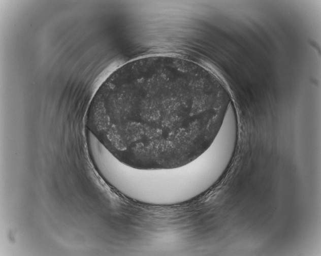 X0000102480907200809051353