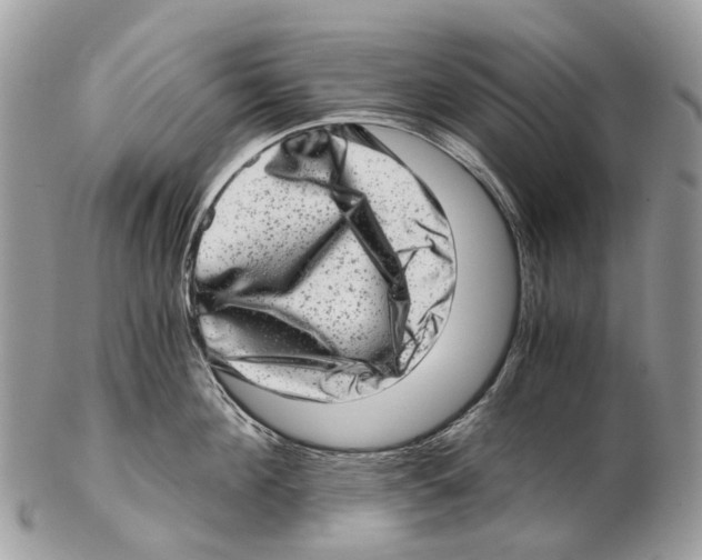 X0000102480908200809051353