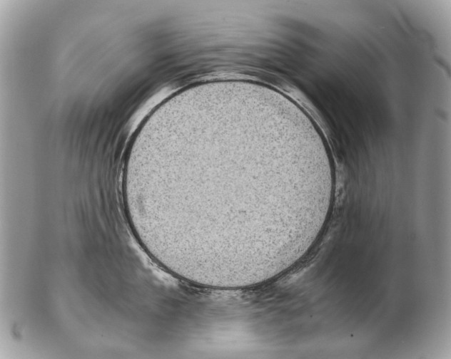 X0000102480909200809051353