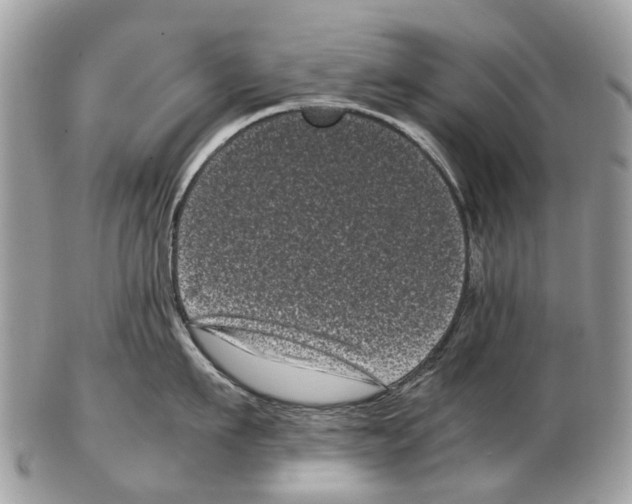 X0000102480911200809051353