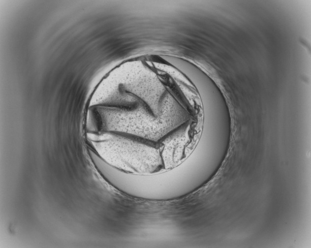 X0000102480912200809051353