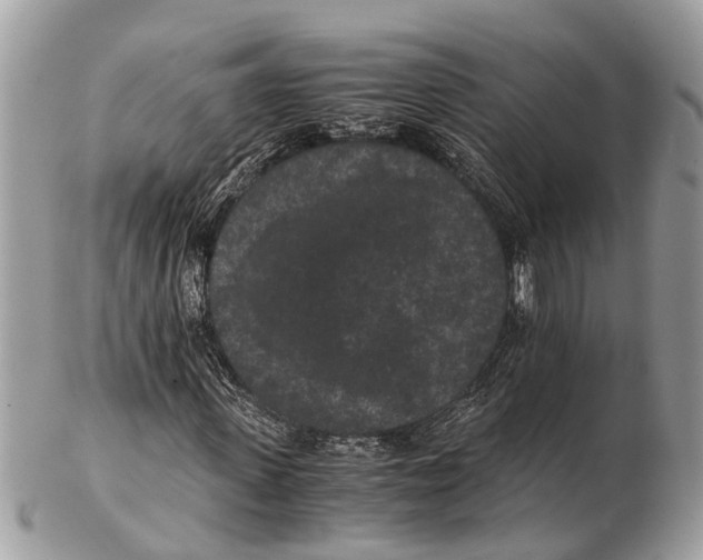 X0000102480915200809051352