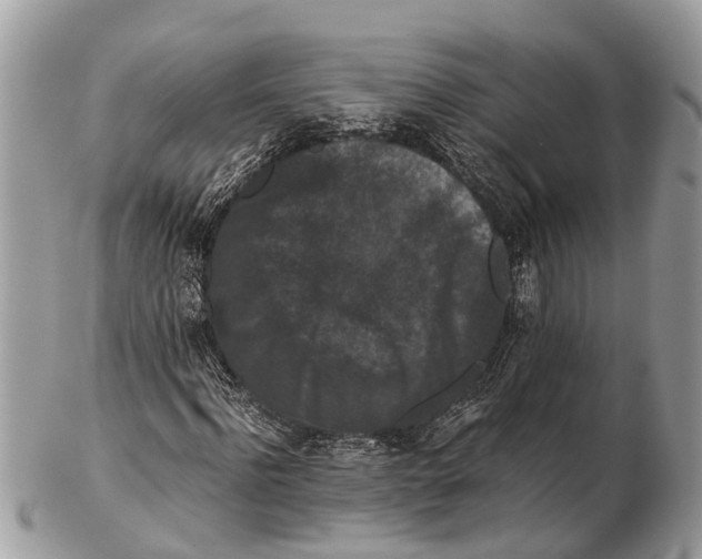 X0000102480916200809051352