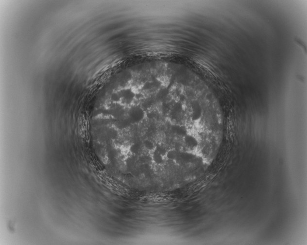 X0000102480917200809051352